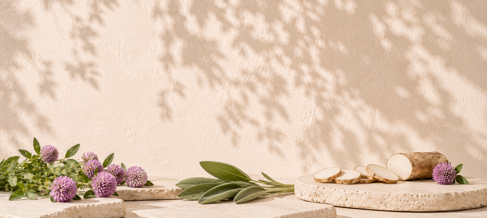 Menopause Support collection — red clover, sage and wild yam on stone